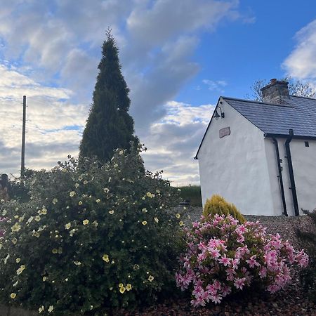 Dans Wee Cottage Slieve Croob Dromara Castlewellan Newcastle Bagian luar foto