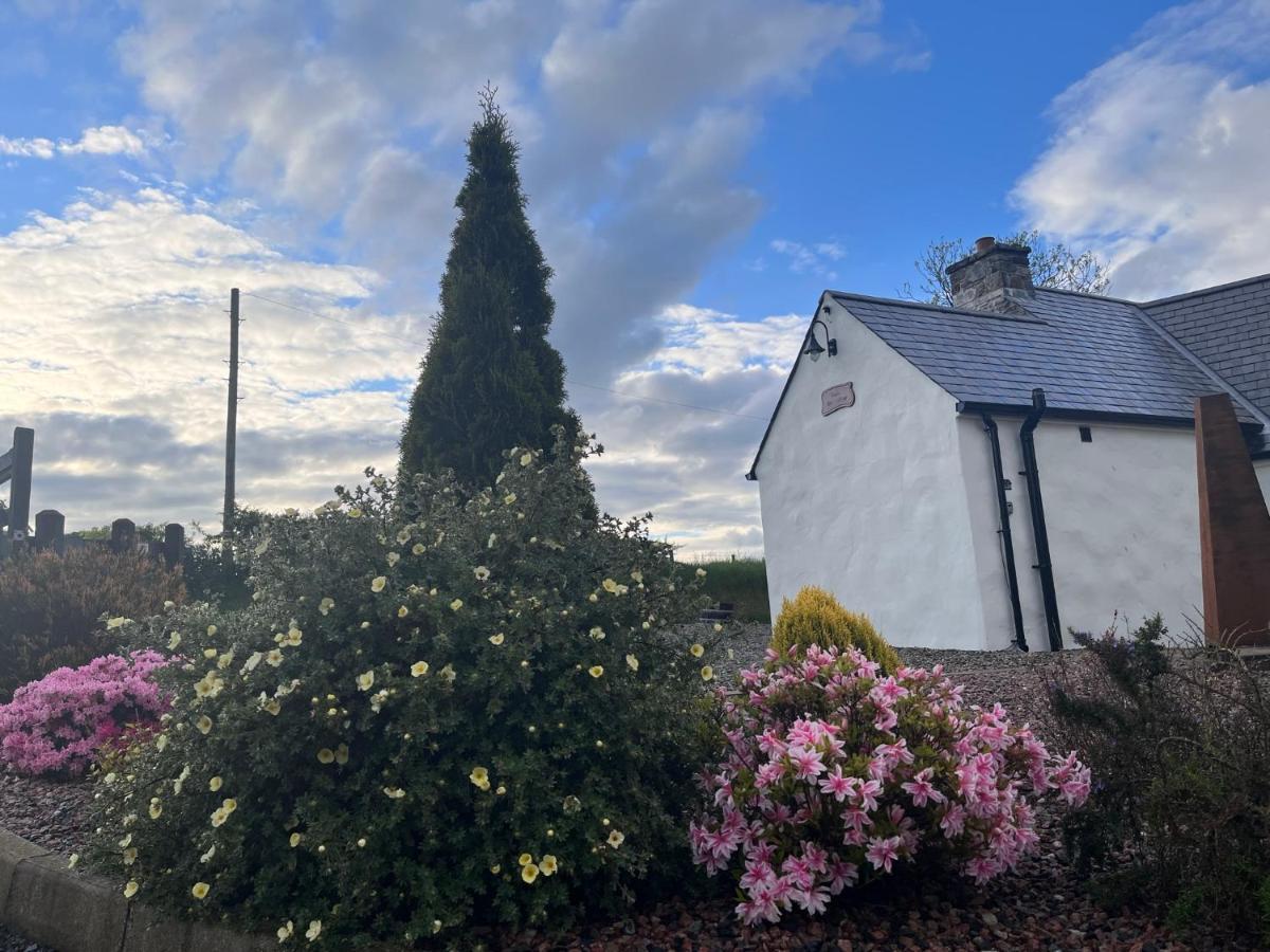 Dans Wee Cottage Slieve Croob Dromara Castlewellan Newcastle Bagian luar foto