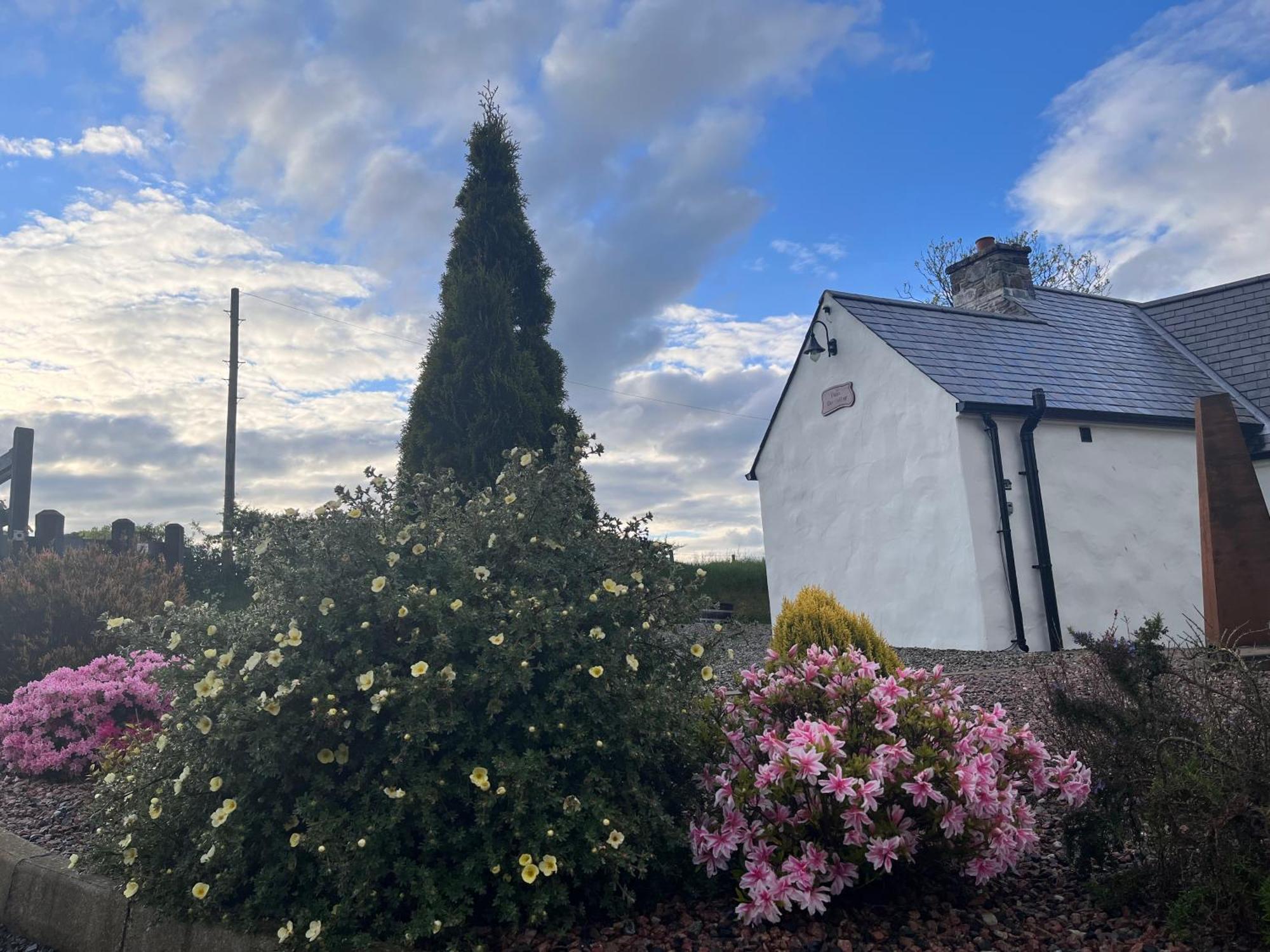 Dans Wee Cottage Slieve Croob Dromara Castlewellan Newcastle Bagian luar foto